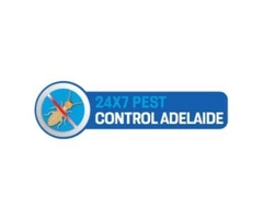 Spider Control Adelaide