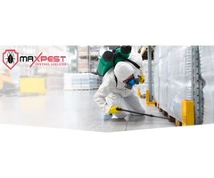 Pest Control Adelaide