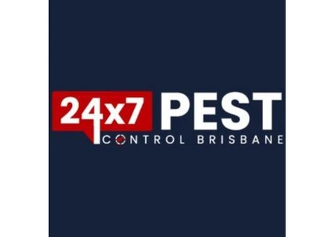 Spider Control Brisbane - 3/3