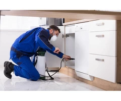 Cockroach Control Adelaide