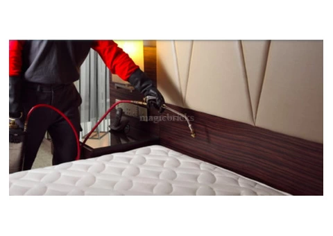 Bed Bug Control Brisbane - 1/4