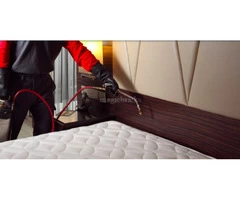 Bed Bug Control Brisbane
