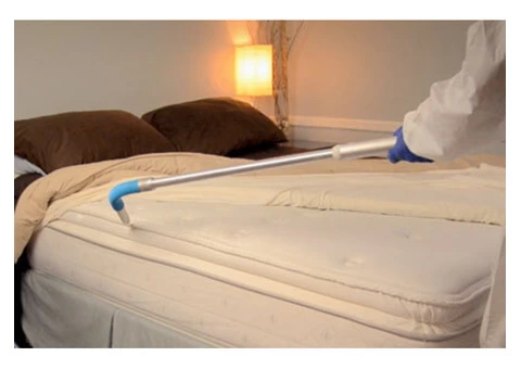 Bed Bug Control Brisbane - 4/4