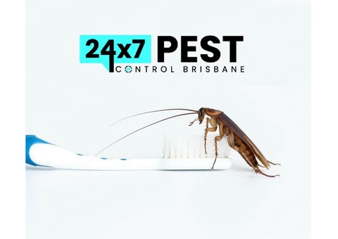 Cockroach Control Brisbane - 1/7