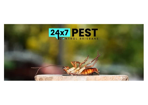 Cockroach Control Brisbane - 3/7