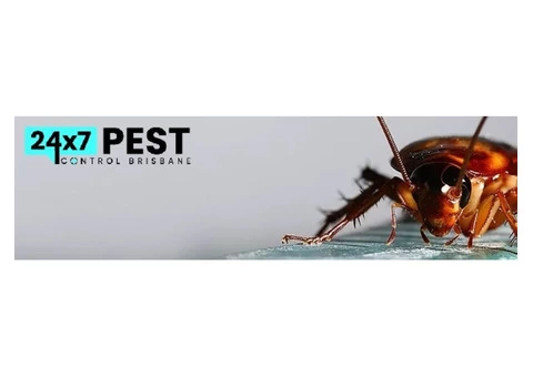 Cockroach Control Brisbane - 4/7