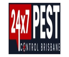 Silverfish Control Brisbane
