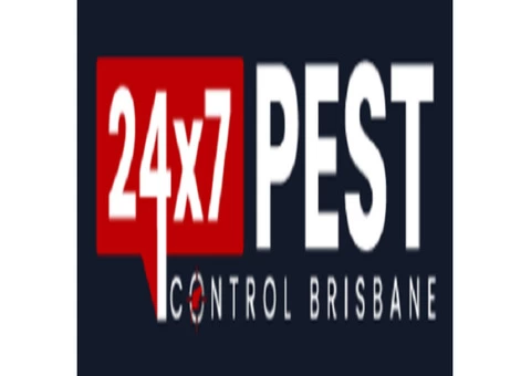 Possum Removal Brisbane