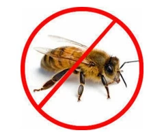 Bee Removal Brisbane