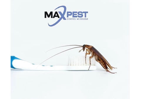 Pest Control Dandenong North - 2/6