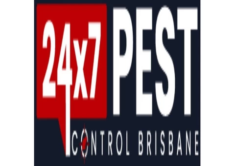 Flies Control Brisbane - 6/7