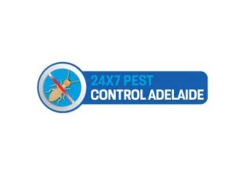 Termite Control Adelaide - 1/5
