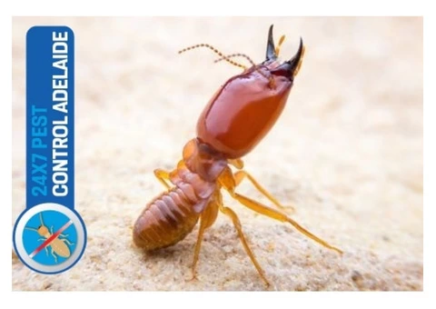Termite Control Adelaide - 4/5