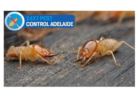Termite Control Adelaide - 5/5