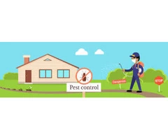 Ant Exterminator Sydney