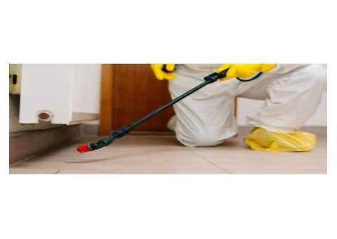 Possum Removal Canberra - 2/5