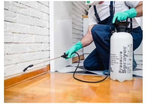 Possum Removal Canberra - 3/5