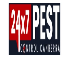 Flies Control Canberra