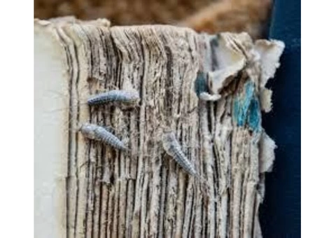 Silverfish Control Sydney - 5/5