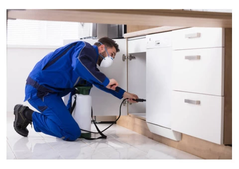 Termite Control Hobart - 2/4