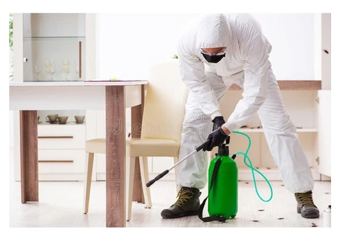 Termite Control Hobart - 4/4