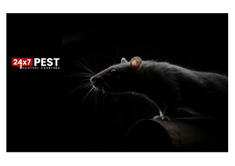 Rodent Control Canberra - 4/6