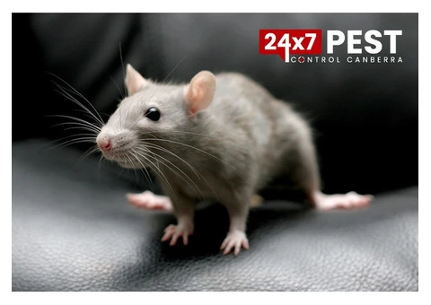 Rodent Control Canberra - 6/6