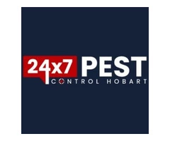 Bed Bug Control Hobart
