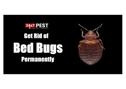 Bed Bug Control Hobart - 5/5