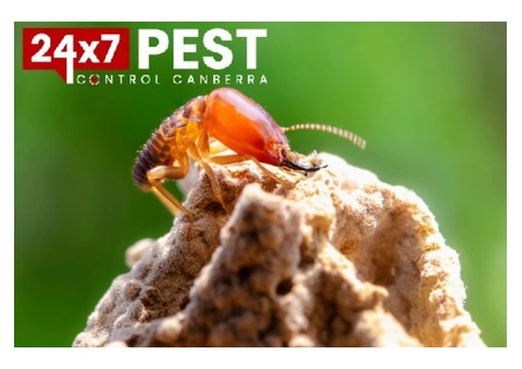 Termite Control Canberra - 1/8
