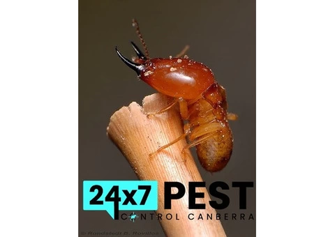 Termite Control Canberra - 2/8