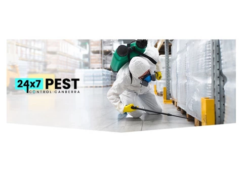 Termite Control Canberra - 5/8