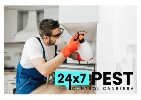 Termite Control Canberra - 6/8