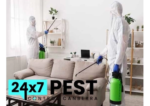 Termite Control Canberra - 7/8