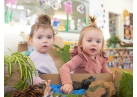 Leading Dee Why Children's Centre - 2/4