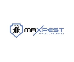 Bed Bug Control Brisbane
