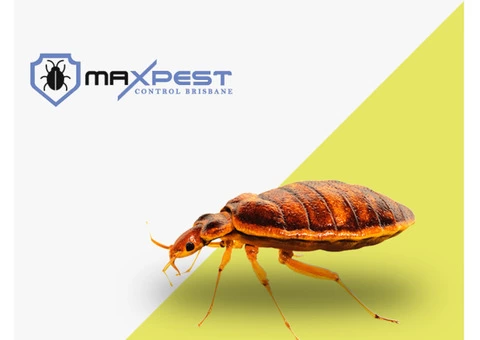 Bed Bug Control Brisbane - 2/4