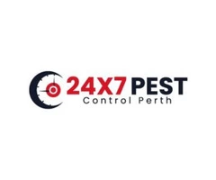 Bee And Wasp Removal Perth