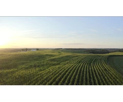 Safe Industries Australia | Work Health Service