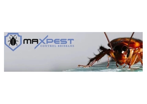 Cockroach Control Brisbane - 2/8