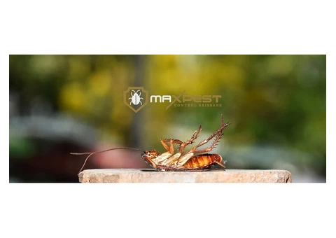 Cockroach Control Brisbane - 5/8