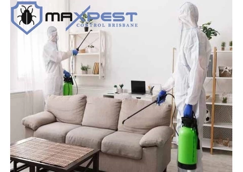 Rodent Control Brisbane - 4/7