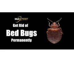 Bed Bug Control Sydney