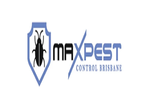 Possum Control Brisbane