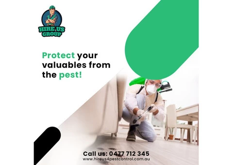 Hire The Best Wasp Control Services in Melbourne