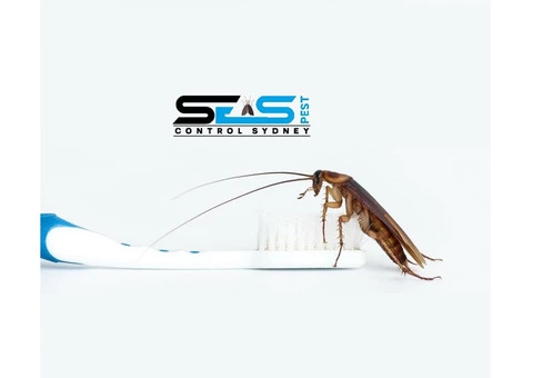 Cockroach Control Sydney - 1/8