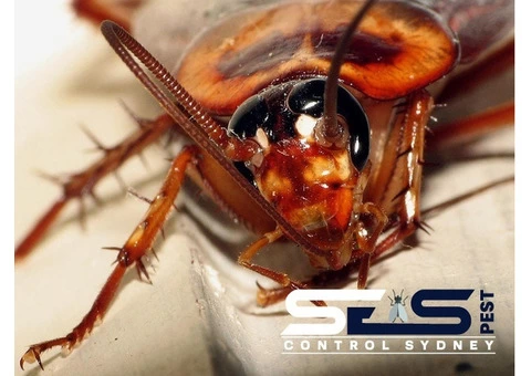 Cockroach Control Sydney - 4/8