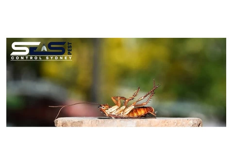 Cockroach Control Sydney - 5/8
