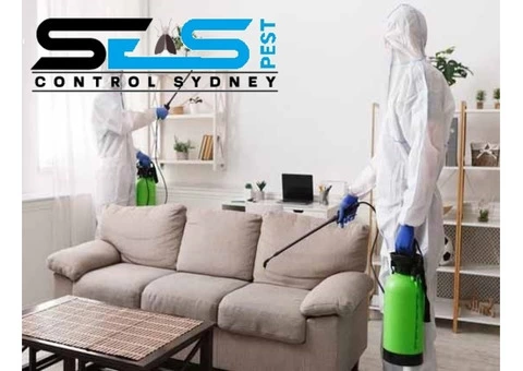 Cockroach Control Sydney - 7/8