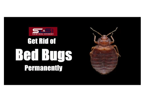 Bed Bug Control Sydney - 6/6